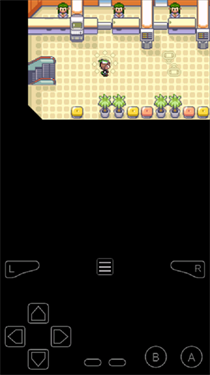 口袋妖怪節(jié)操傳奇下載