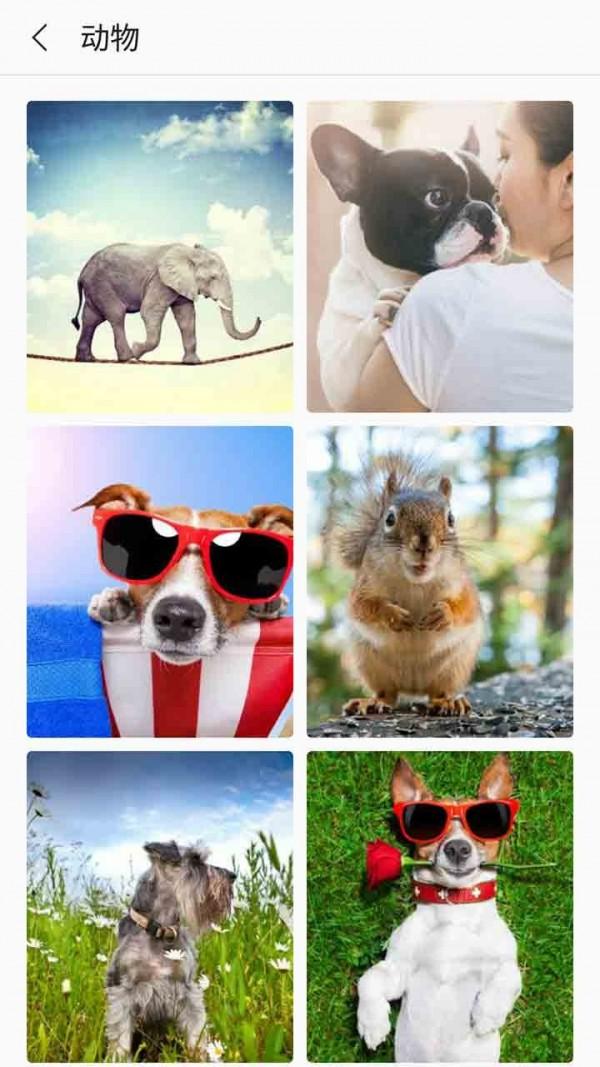 芒果壁紙手機版下載